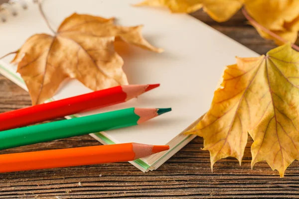 Schreibbücher, Buntstifte im Becher und Herbstblätter — Stockfoto