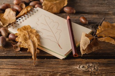 Sonbahar sanatçı çalışma alanı. Sketchbook ve kalem.