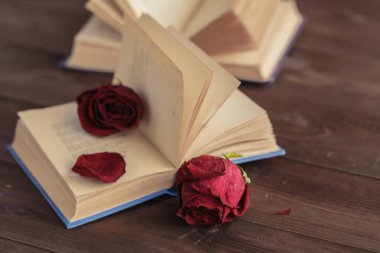 kurutulmuş gül açık bir kitap üzerinde döşeme