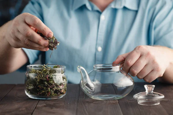 Мужские руки кладет травяной чай в чайник — стоковое фото