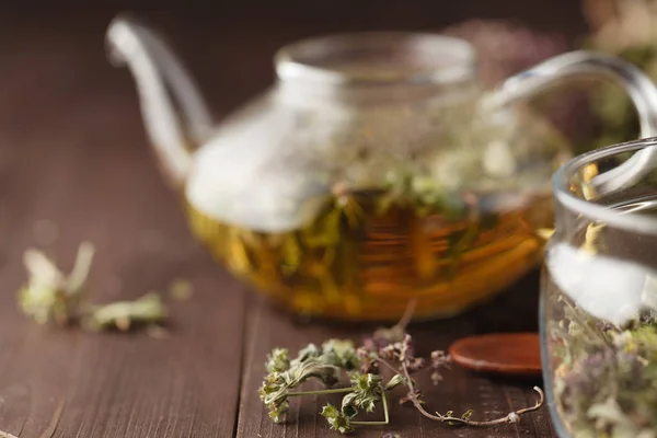 Ті самі сушені трави готові до заварювання в чайнику для ліків чай — стокове фото