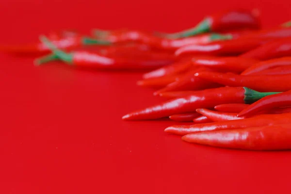 Chili picante sobre rojo — Foto de Stock