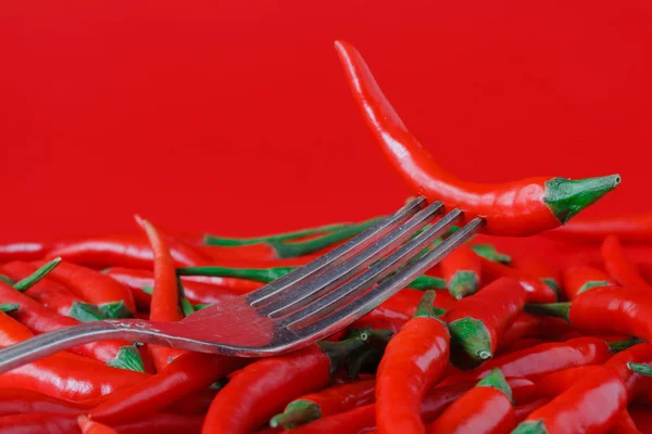 Red hot chili peper op vintage zilveren vork op rode achtergrond — Stockfoto