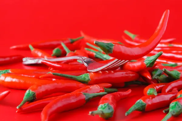 Chili picante sobre rojo — Foto de Stock