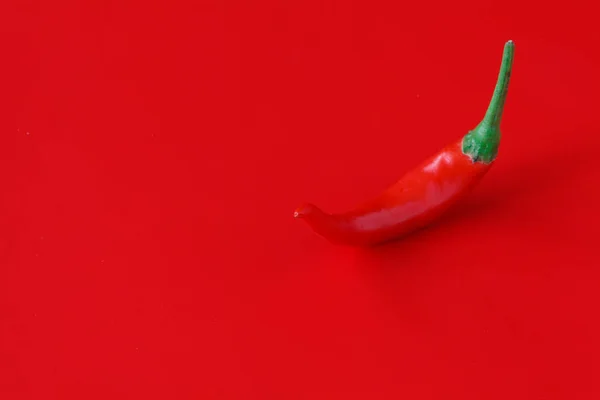 Pimienta fresca sobre fondo rojo liso —  Fotos de Stock