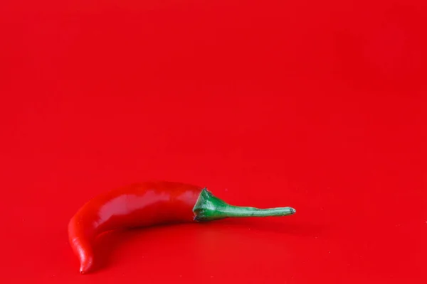 Friss chili paprika sima piros háttér — Stock Fotó