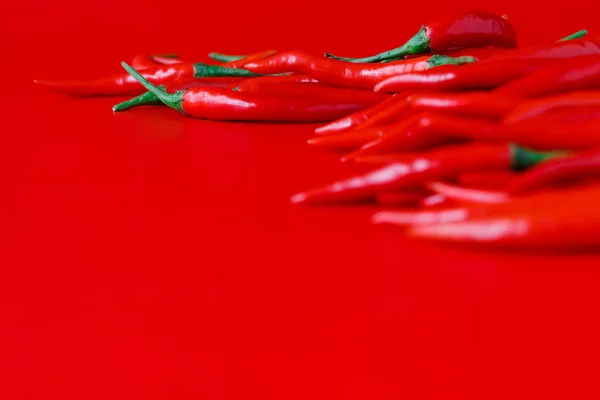 Világos piros chili paprika sima háttér — Stock Fotó