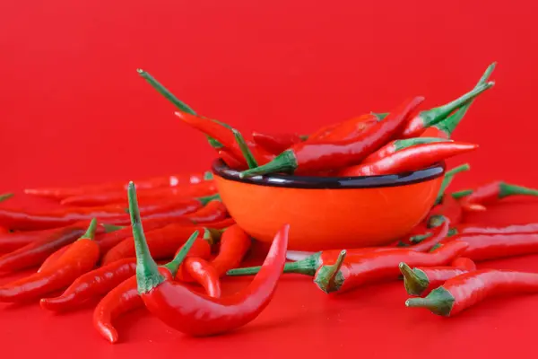 Világos piros chili paprika sima háttér — Stock Fotó