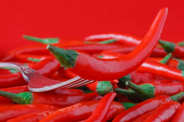 Néhány chili paprika pod-tábla — Stock Fotó