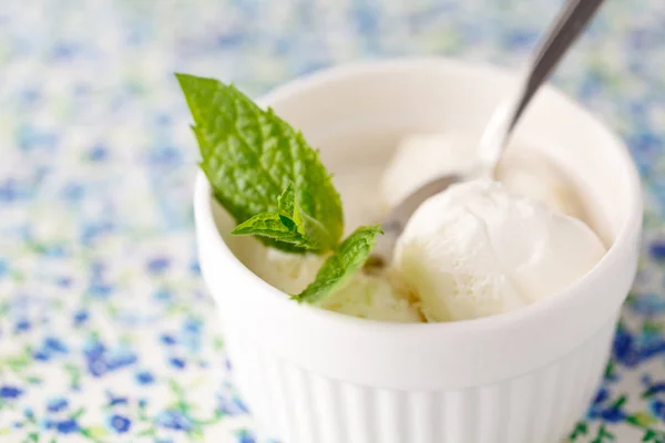 Свіже фруктове морозиво сорбет в білій мисці крупним планом . — стокове фото