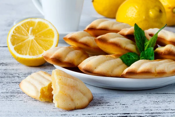 French madeleine cookies powdered sugar and strainer on natural — Stock Photo, Image