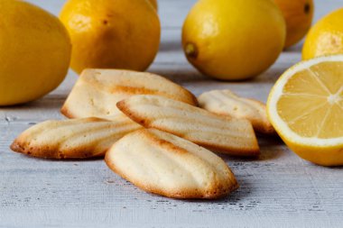 Limon Madeleine - bu lezzetli limon deli fotoğrafını çerezidir