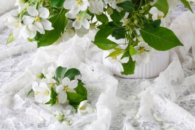 Apple'nın bahar çiçekleri. Elma ağacı dalı bir vazoda