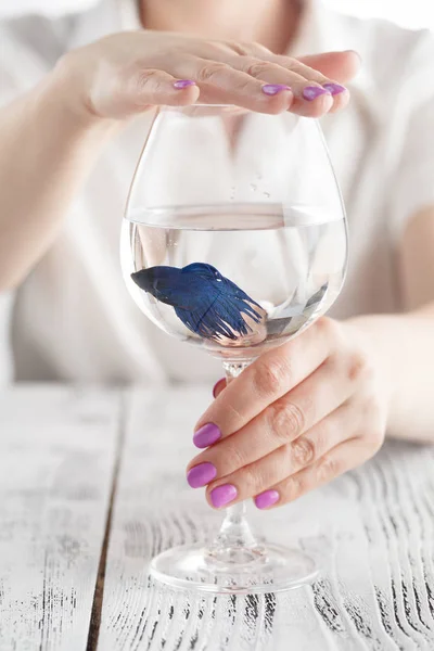 Woman protect fish in a wine glass, ecology, clean water, concept photo