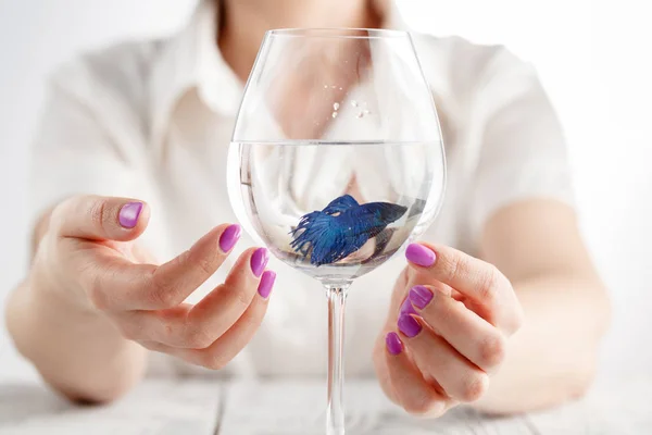 Маленькая рыбка в бокале, чистая вода в руках — стоковое фото