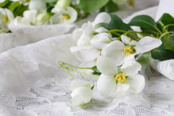 꽃병에 사과 나무의 흰 꽃과 세련 된 여성의 공간. 최소한의 정 스타일 — 스톡 사진