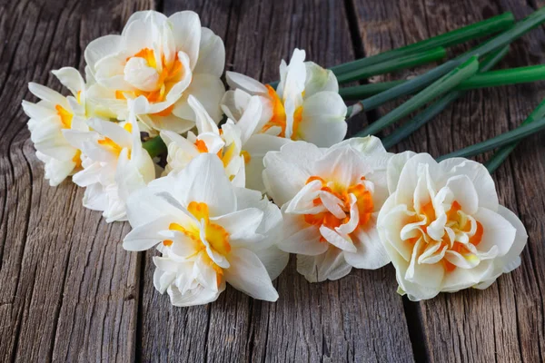 Flores narcisas blancas sobre fondo de madera — Foto de Stock