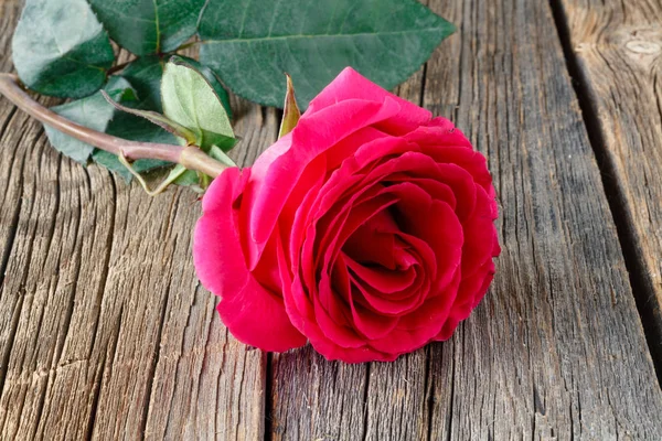 Rosa roja en la mesa — Foto de Stock