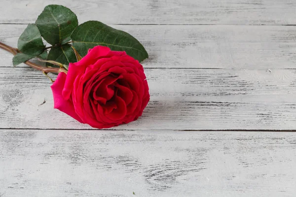 Pink rose on wooden background close-up — Stock Photo, Image