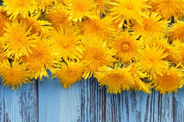 Karahindiba arka plan çerçeve mavi