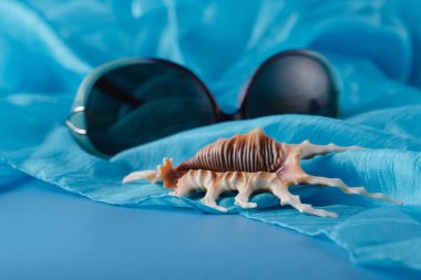 Deniz mavi ipek arka plan kabukları ile.