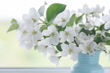 elma çiçeği vazo içinde