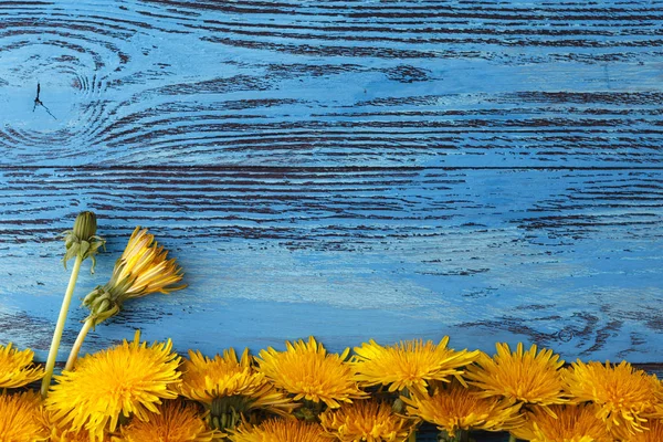 프레임 노란색 꽃 — 스톡 사진