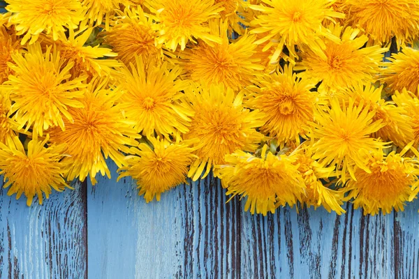 Karahindiba arka plan çerçeve mavi