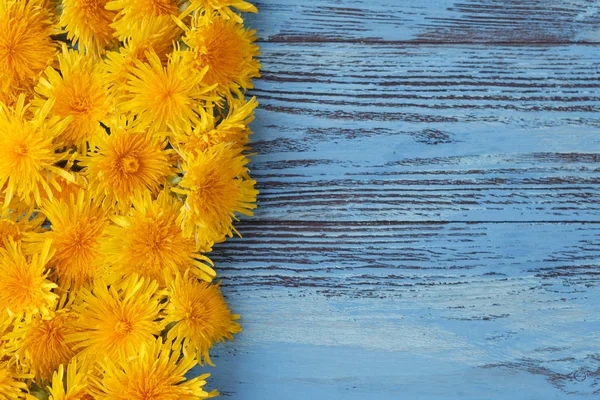 Dandelions düz ahşap beyaz zemin üzerinde yatıyordu