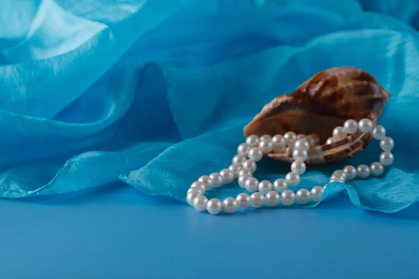 Perle et coquille, coquille Paua et ornements de perles sur draperie bleue — Photo