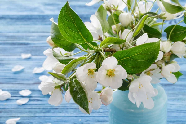 애플의 꽃, 봄 꽃 지점 나무 배경 — 스톡 사진