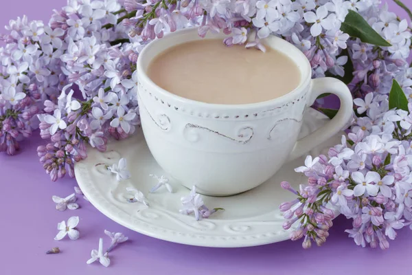 Filiżankę kawy i gałęzi kwitnienia bzu — Zdjęcie stockowe