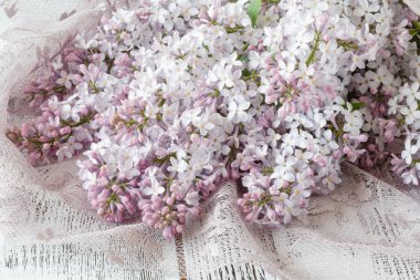 Pembe bez arka plan üzerinde güzel Eflatun çiçekler