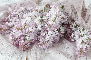 Ahşap arka plan üzerinde mor Lila