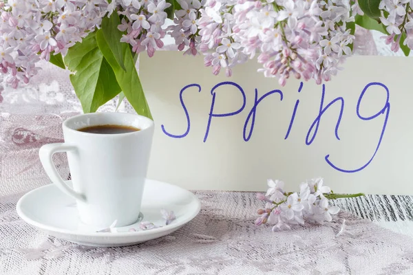 Gałęzi bzu kwiaty na białym tle z tekst wiosna — Zdjęcie stockowe