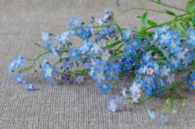 Unutma çiçek kumaş üzerine