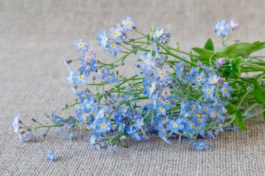 Unutma çiçek kumaş üzerine