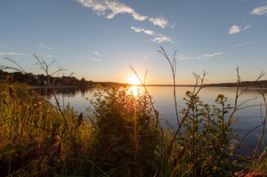 Sıcak günbatımı ağaçlar ufukta ana hatları ile