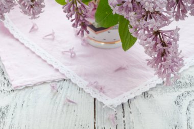 Eflatun çiçekler güneş penceresinde