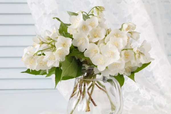 Vazoda bir buket beyaz çiçek. — Stok fotoğraf