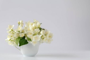 Beyaz bir sürahi içinde açık tomurcukları ile Yasemin dal demet