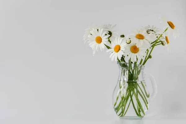 Bouquet de fleurs de marguerite-camomille — Photo