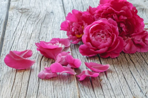 güzel taze peonies ahşap yüzey üzerinde