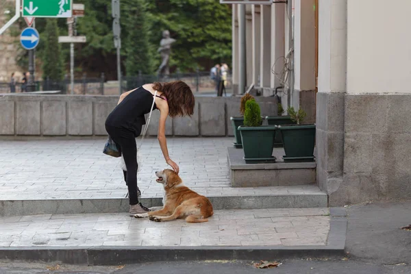 Sevimli genç kadın dışında bir sokak köpeği sevişme — Stok fotoğraf