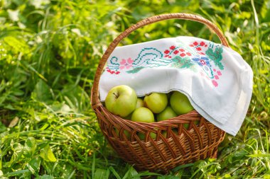 Sepette Sağlıklı Organik Elmalar.