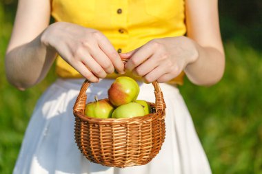 Kız elinde bir sepet elma hasat.