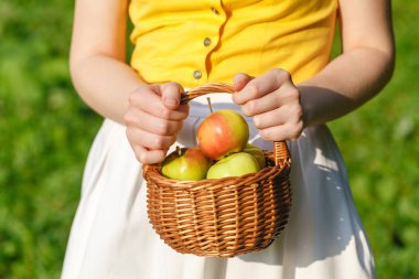 kadın Kırmızı elma sepet tutuyor