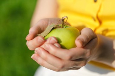 Sağlıklı yeme elma Bahçe
