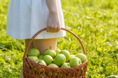 Sepette Sağlıklı Organik Elmalar.