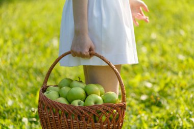 kadın Kırmızı elma sepet tutuyor